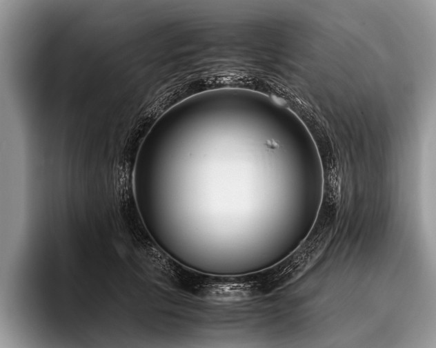 X0000096980657200802081408