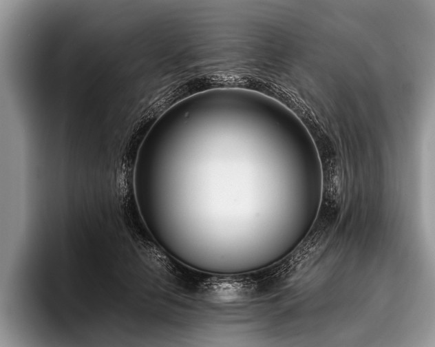 X0000096980658200802081408