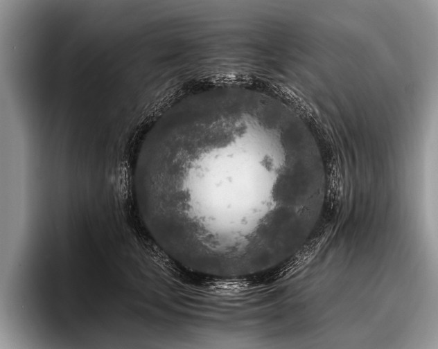 X0000096980659200802081408