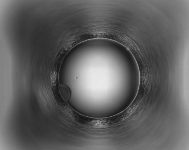 X0000096980660200802081408