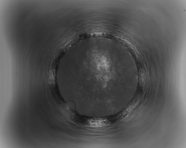 X0000096980661200802081408