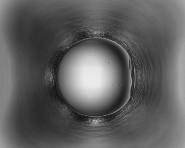 X0000096980662200802081408