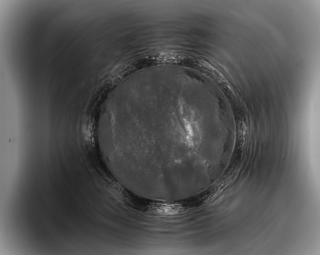 X0000096980663200802081408