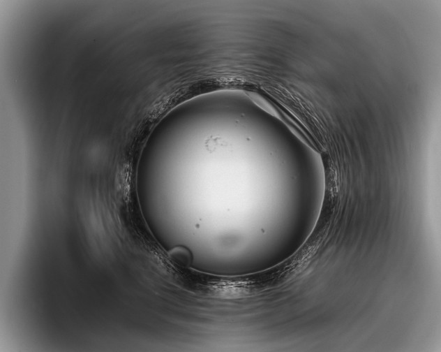 X0000096980664200802081408