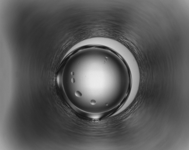 X0000096980665200802081408