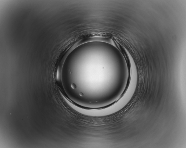 X0000096980666200802081408