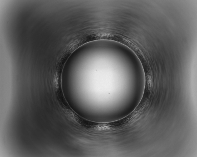 X0000096980668200802081408