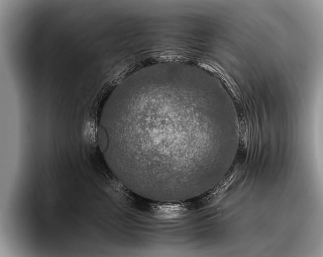 X0000096980669200802081408