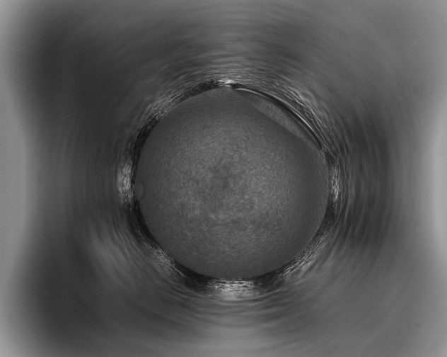 X0000096980670200802081408