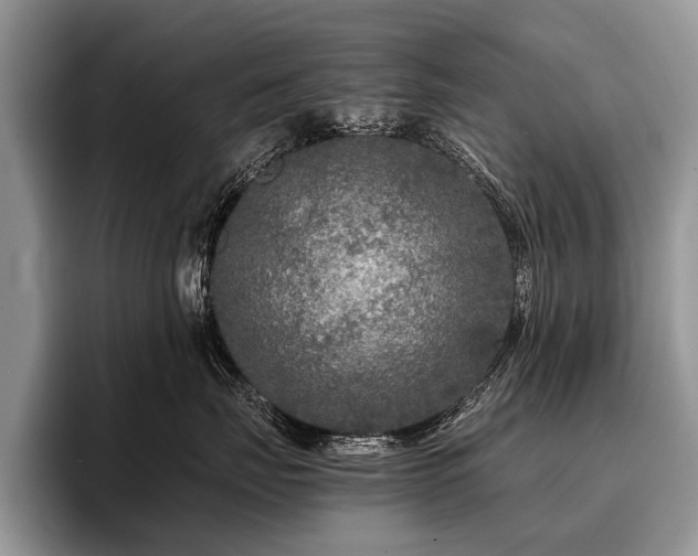 X0000096980671200802081408