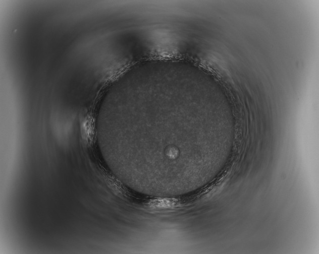 X0000096980672200802081408