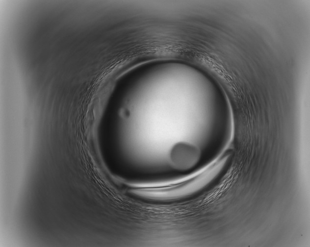 X0000096980673200802081408