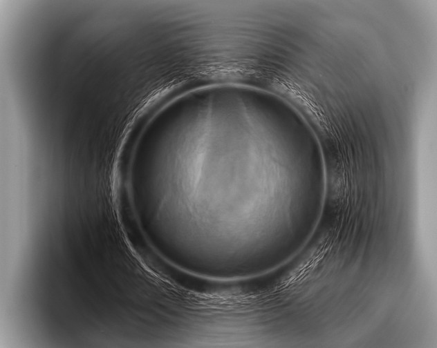 X0000096980674200802081408