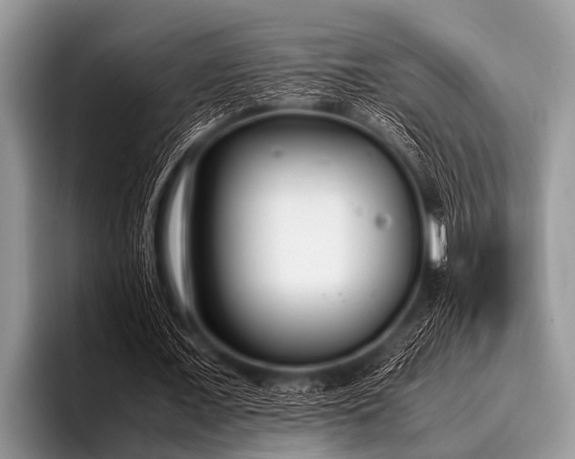 X0000096980675200802081408