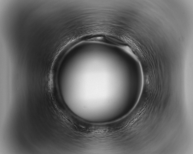 X0000096980676200802081408