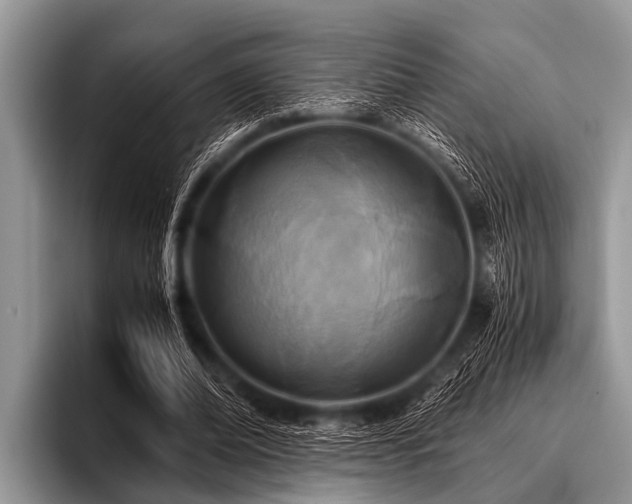 X0000096980678200802081408