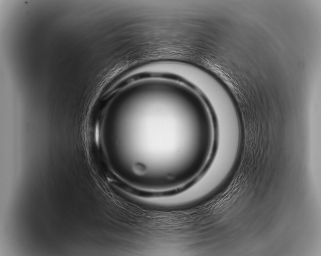 X0000096980679200802081408