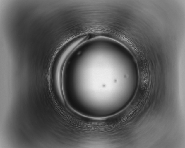 X0000096980680200802081408