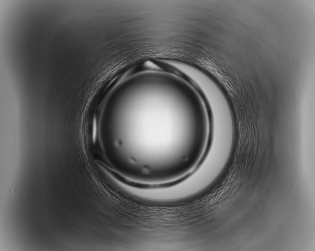 X0000096980683200802081408