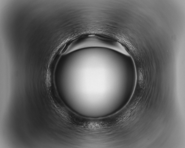 X0000096980684200802081408