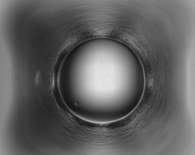 X0000096980685200802081408