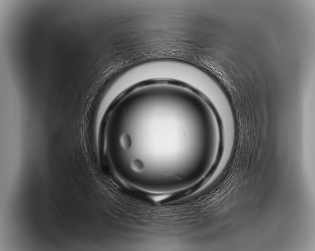 X0000096980687200802081408