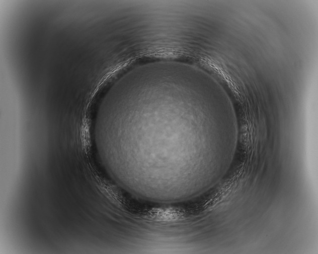 X0000096980688200802081408