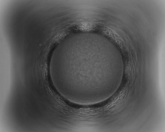 X0000096980689200802081408