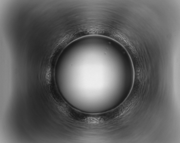 X0000096980690200802081408