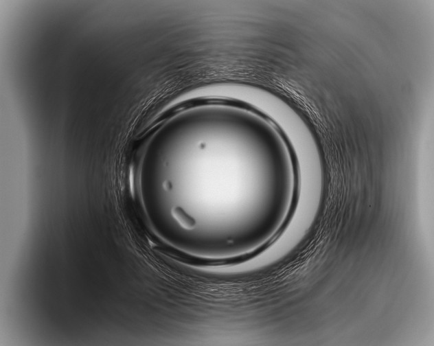 X0000096980691200802081408