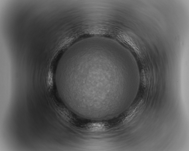 X0000096980692200802081408