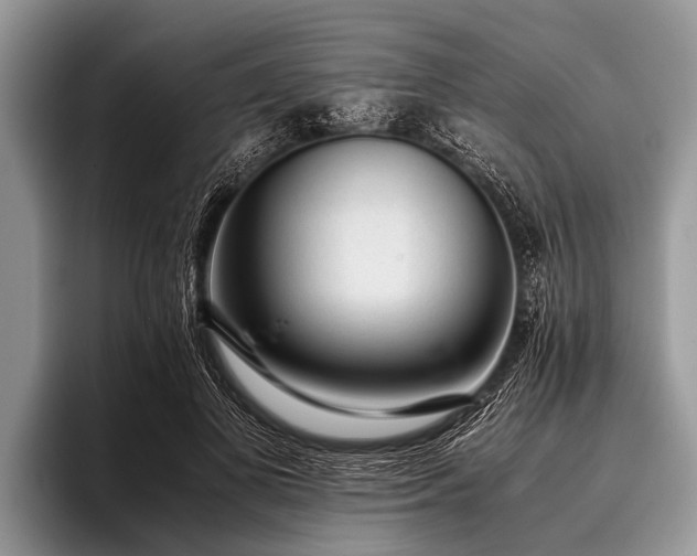 X0000096980693200802081408