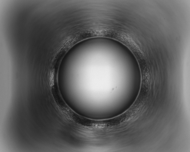 X0000096980694200802081408