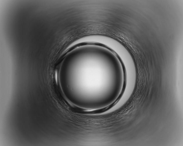 X0000096980695200802081408