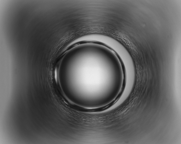 X0000096980696200802081408