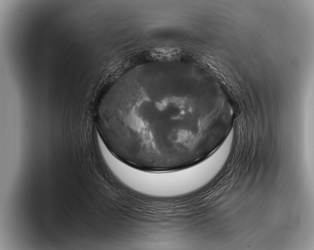 X0000096980699200802081408