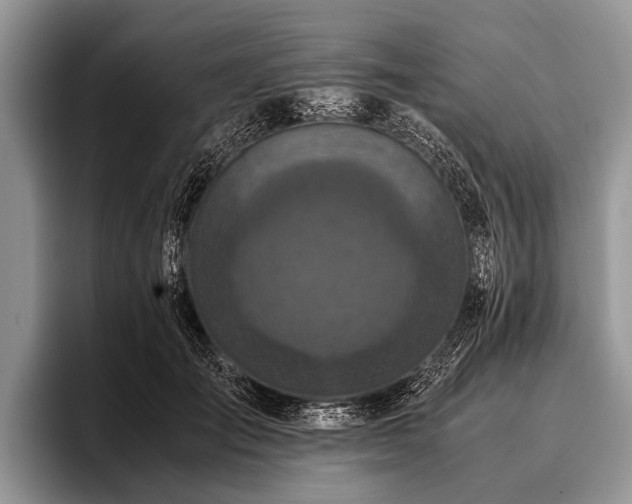 X0000096980701200802081407