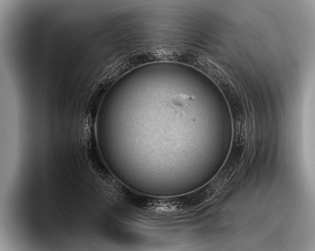 X0000096980702200802081407