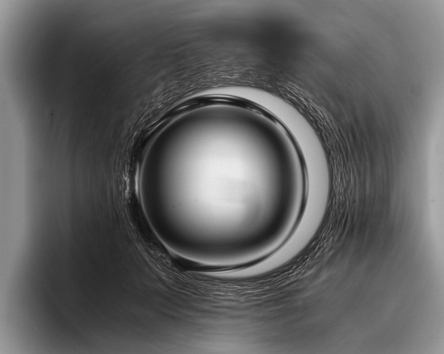 X0000096980703200802081407