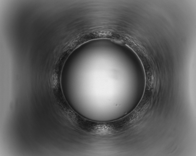 X0000096980704200802081407