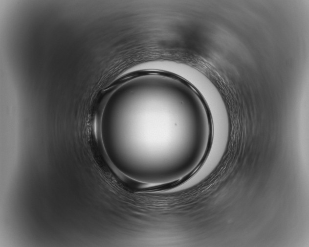 X0000096980707200802081407