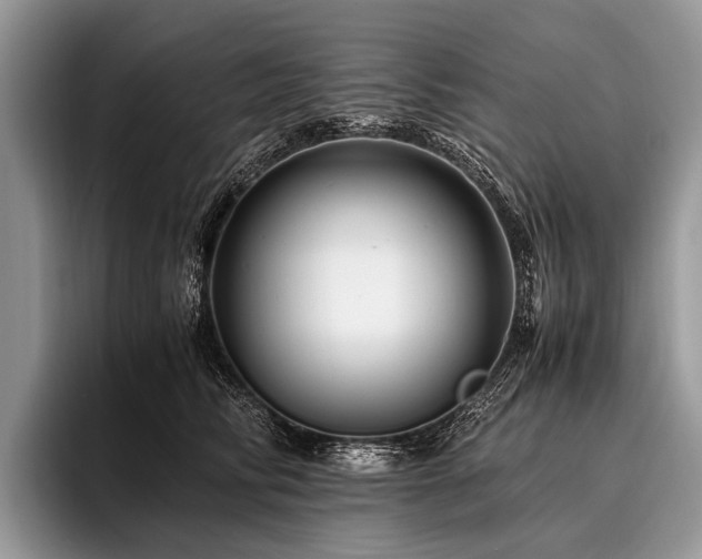 X0000096980710200802081407