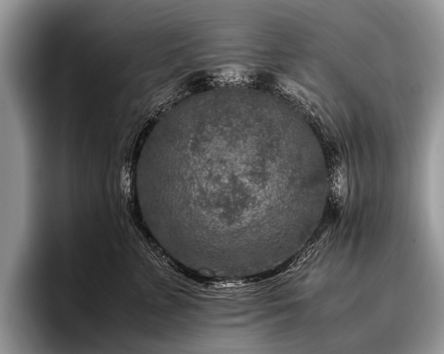 X0000096980715200802081407