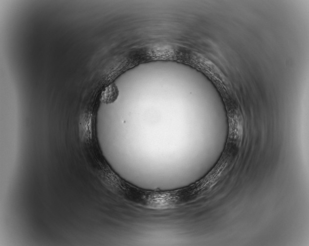 X0000096980717200802081407