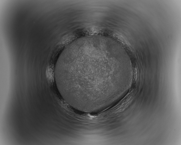 X0000096980719200802081407