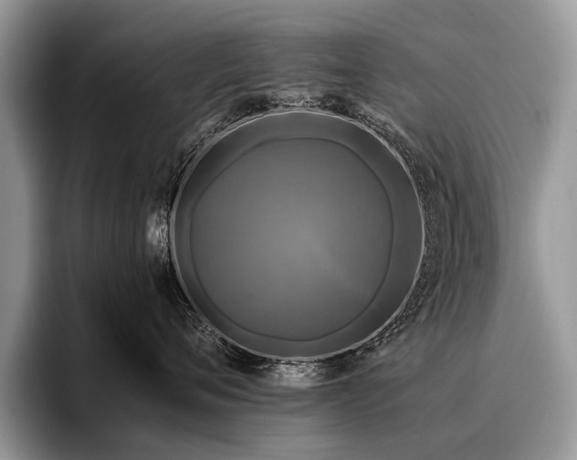 X0000096980720200802081407