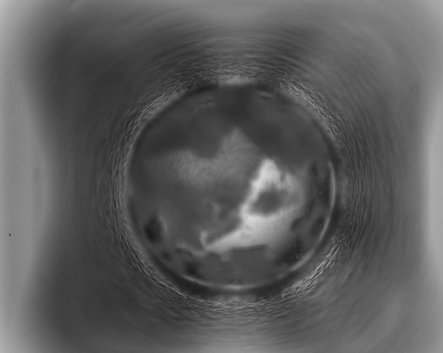 X0000096980721200802081407