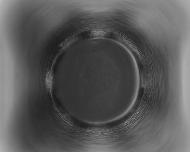 X0000096980722200802081407