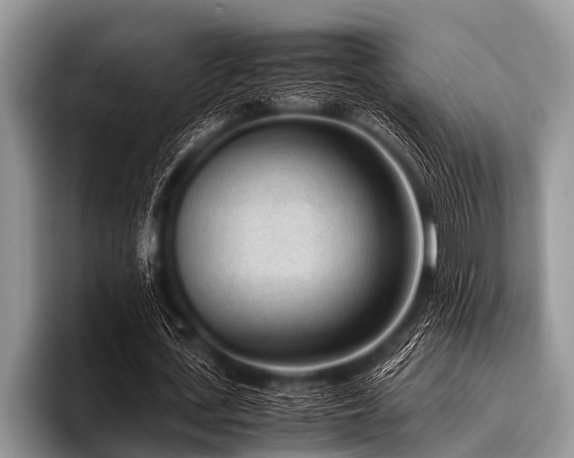 X0000096980723200802081407