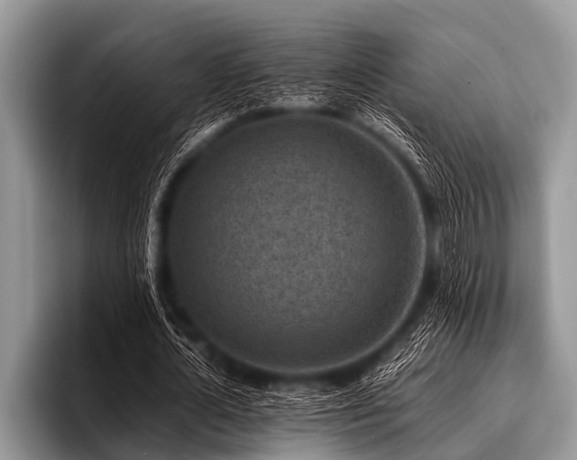 X0000096980724200802081407